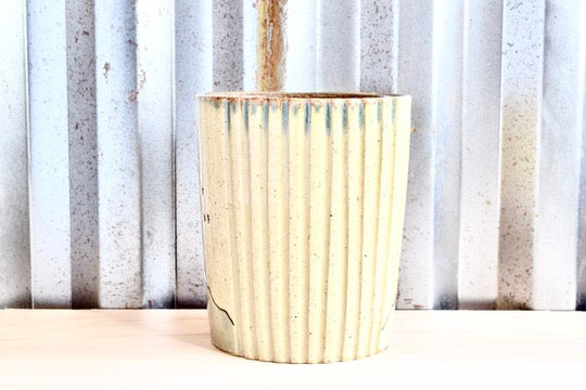 Mary Oliver Mountain Heart Tumbler