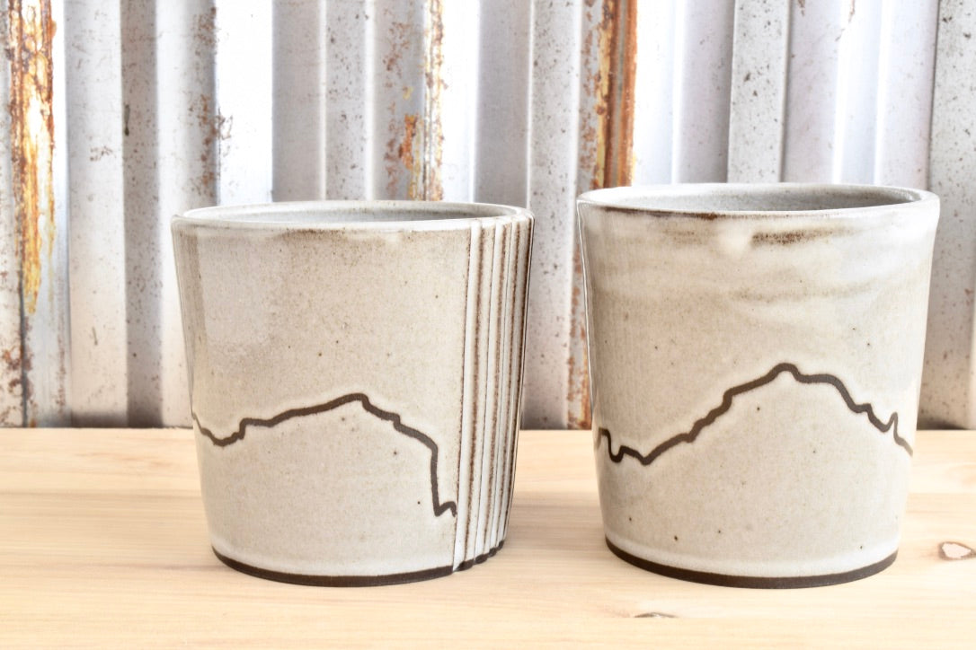 Cimarron Mountains Ridgway Colorado Tumbler